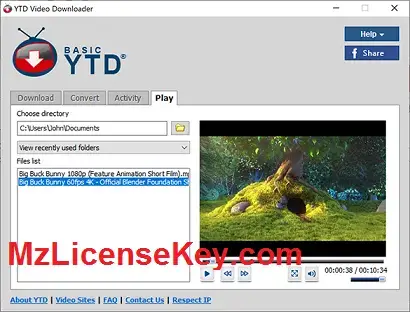 YTD Video Downloader Pro Crack 